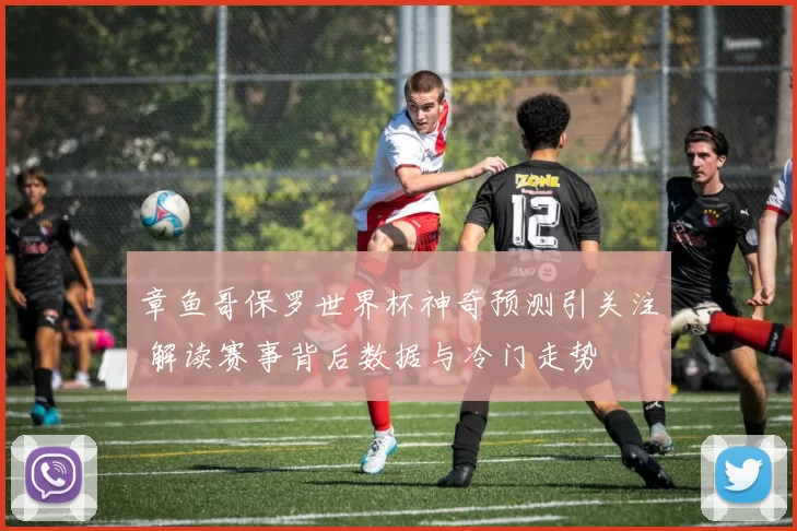 章鱼哥保罗世界杯神奇预测引关注 解读赛事背后数据与冷门走势