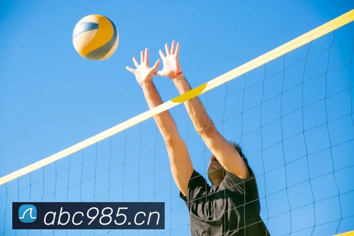 App Interface Preview